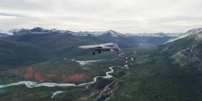 Patagonia bush trip 4