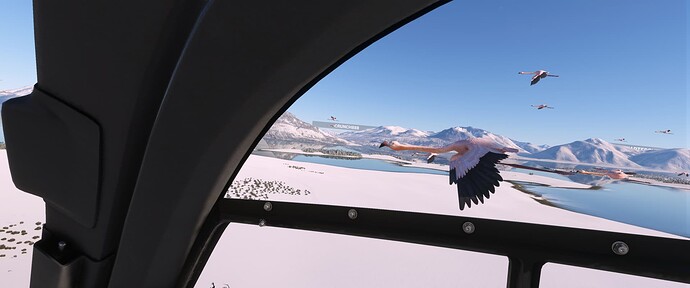 Microsoft Flight Simulator Screenshot 2022.03.09 - 05.40.40.01