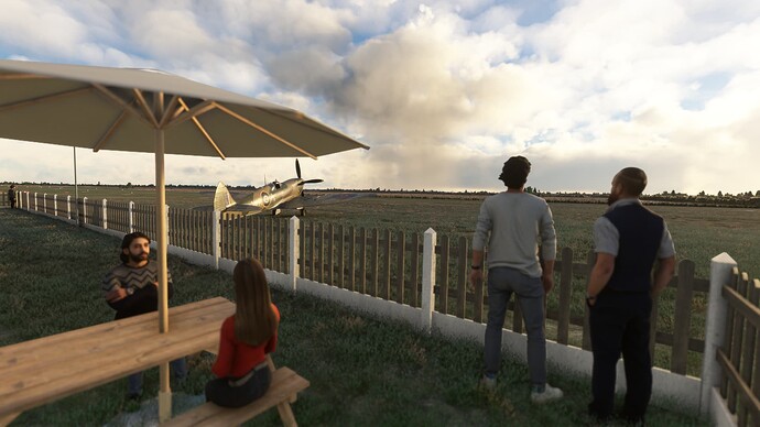 Microsoft Flight Simulator-2025_07_21-18-17-35