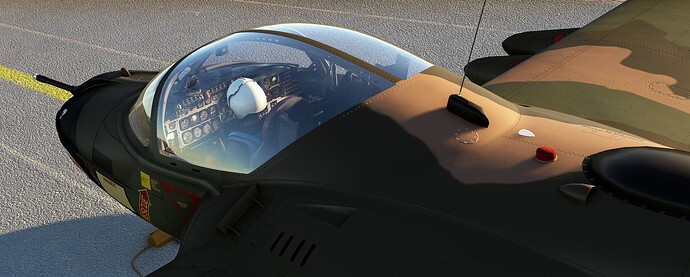 Microsoft Flight Simulator 10_30_2023 5_41_36 PM