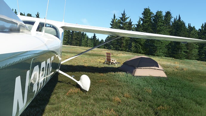 Microsoft Flight Simulator 27_08_2022 14_15_38