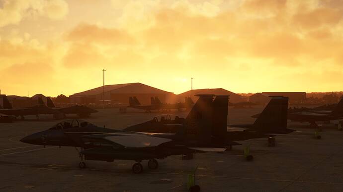 Microsoft Flight Simulator-2025_05_24-23-26-31