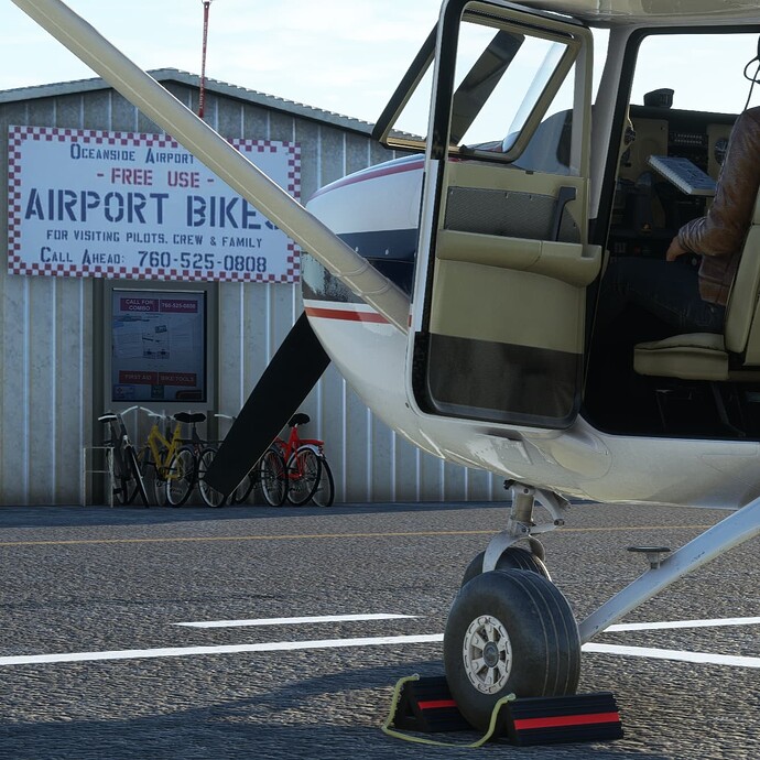 Microsoft Flight Simulator Screenshot 2023.11.13 - 06.31.59.63_Snapseed