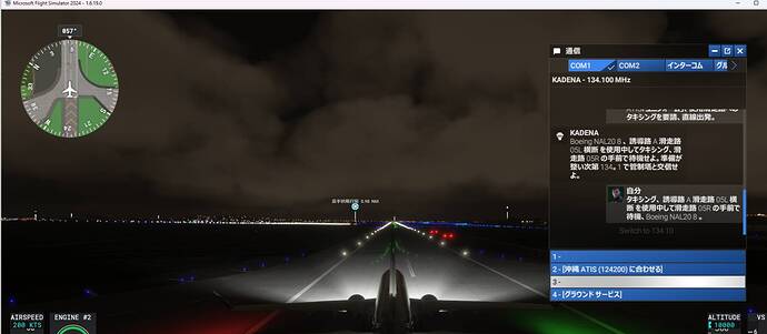 kadena ATC bug VFR missing