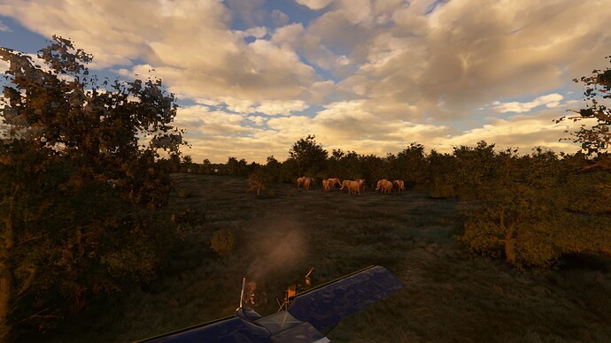 1250410_20220827144407_1