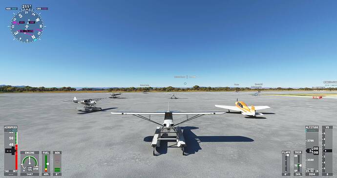 Microsoft Flight Simulator Screenshot 2021.10.04 - 22.30.24.45