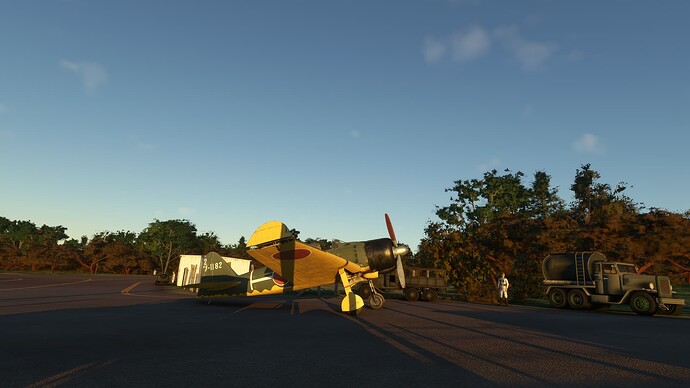 2025-06-05 17_03_22-Microsoft Flight Simulator - 1.38.2.0