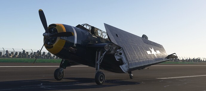 Microsoft Flight Simulator 2024 1_25_2025 2_11_33 PM