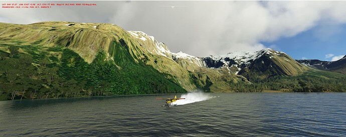 NZ_fl_3