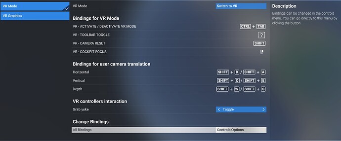 VR Controls Options