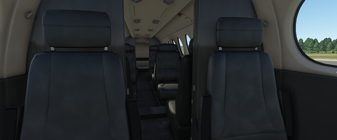FlightSimulator_2022_10_19_01_41_48_272