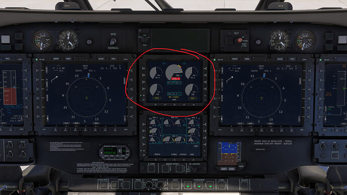 Microsoft Flight Simulator 2024 2026_8_14 12_23_02