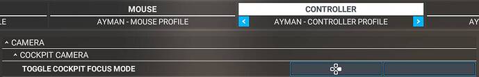 Screenshot - controls