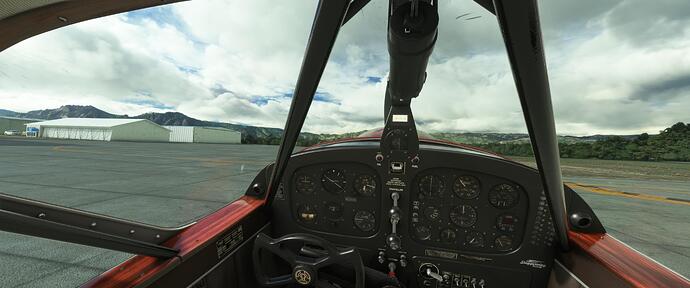 Microsoft Flight Simulator 2_7_2023 11_03_28 PM