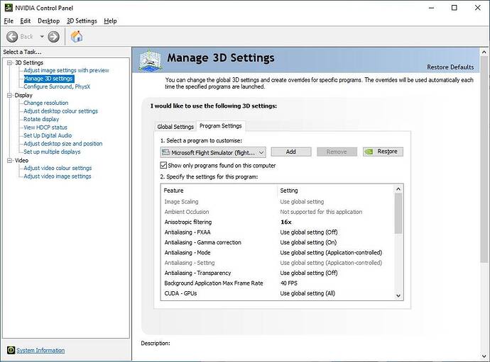 MSFS - Driver Settings 7