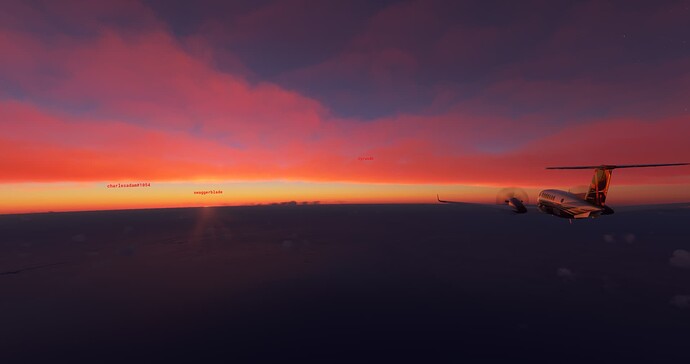 Microsoft Flight Simulator 10_28_2021 1_17_52 PM