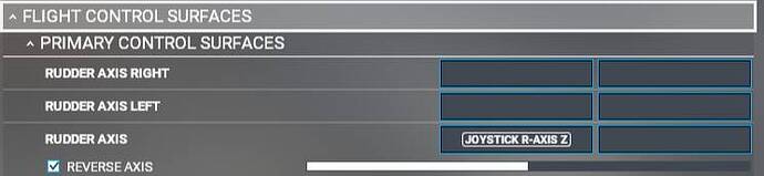 UI-Control Options-Joystick Axis Rudder