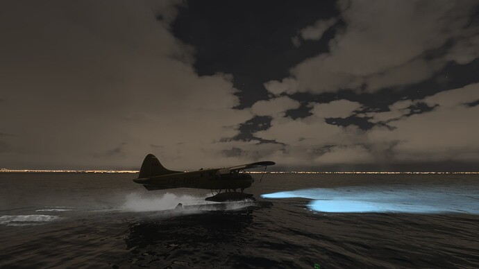 Microsoft Flight Simulator 2024-2025_07_05-10-52-54