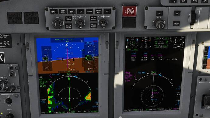 FlightSimulator2024 2026-01-23 17-59-27_985