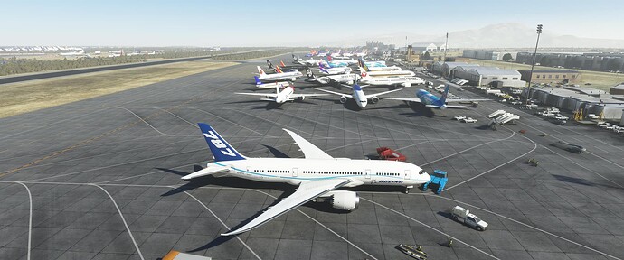 Microsoft Flight Simulator 1_25_2023 12_10_18 PM