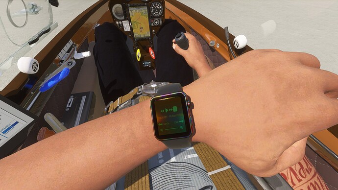 The Smartwatch