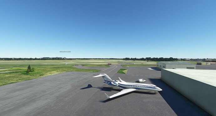 Microsoft Flight Simulator 10_3_2023 8_01_32 AM