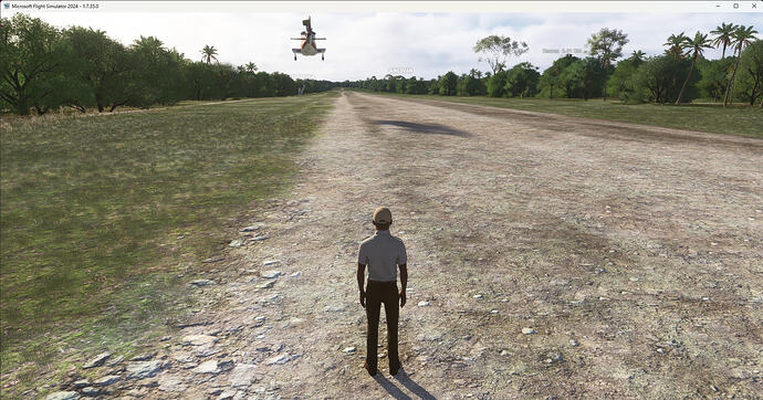 Microsoft Flight Simulator 2024 10-Jul-26 21_04_27