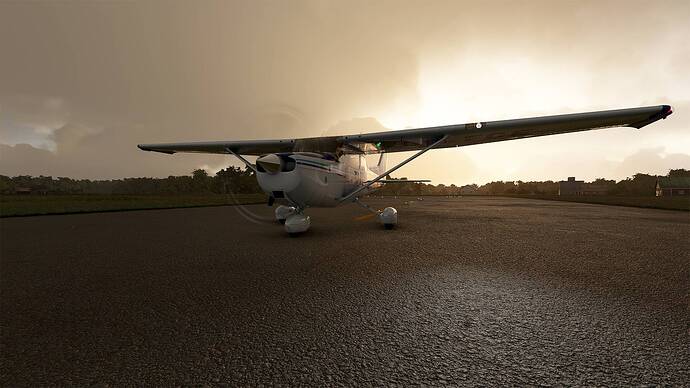 Microsoft Flight Simulator 2021-05-15 09_35_42 bis