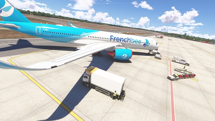 Microsoft Flight Simulator 2024_2025.05.20-14.04_1