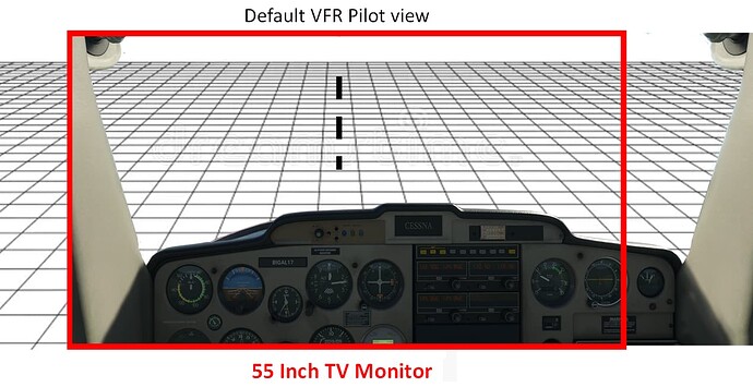Default VFR Pilot MSFS