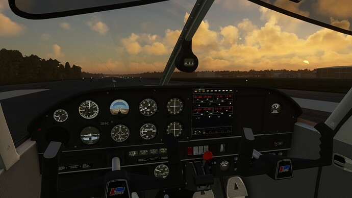 Microsoft Flight Simulator 2025-06-11 8_34_31 PM