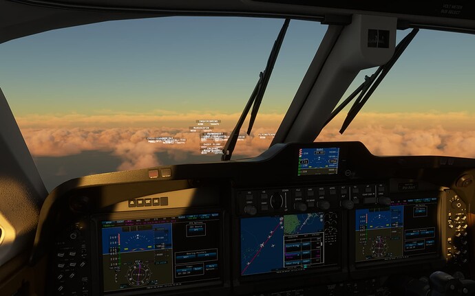Microsoft Flight Simulator 1-11-2024 19_47_33
