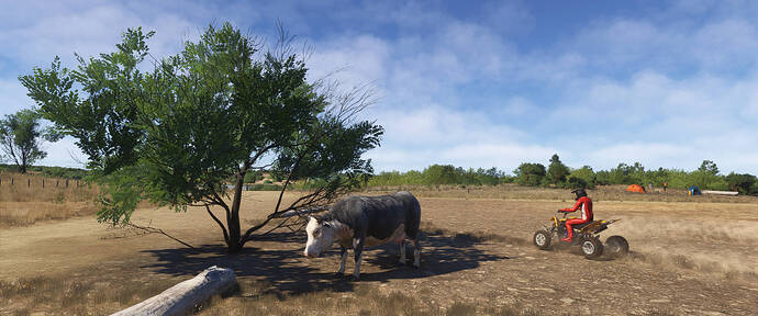 42SS Sunset Strip_001