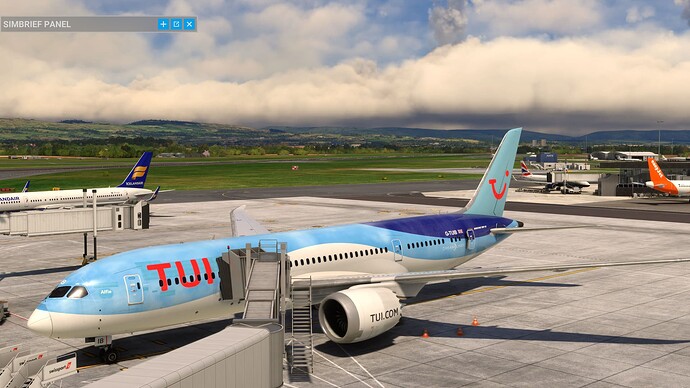 Microsoft Flight Simulator 26_05_2024 13_54_36