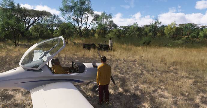 Microsoft Flight Simulator 2024 Screenshot 2026.03.27 - 14.49.30.94