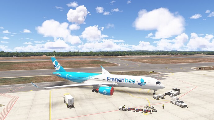 Microsoft Flight Simulator 2024_2025.05.20-14.04