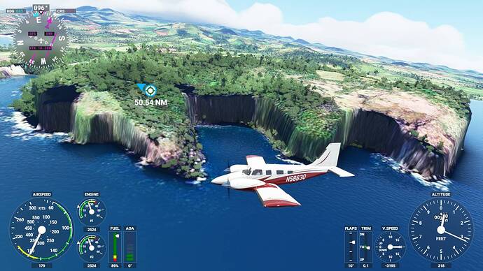 Microsoft Flight Simulator 5_31_2021 11_58_03 AM