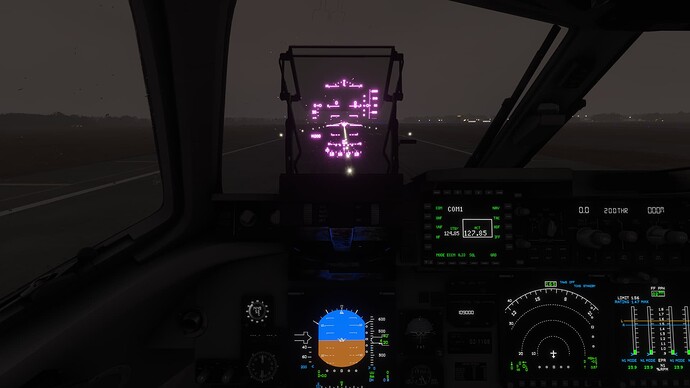 Microsoft Flight Simulator 2024 2_14_2025 8_49_53 AM