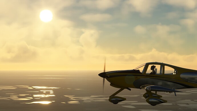 Microsoft Flight Simulator 2024. 01. 03. 15_15_37 j