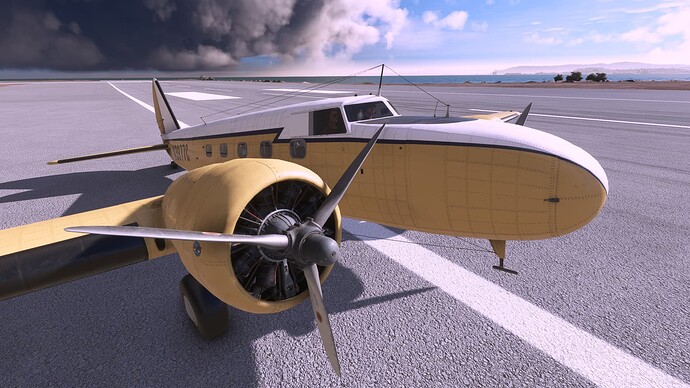 Microsoft Flight Simulator 4_4_2022 6_58_18 PM