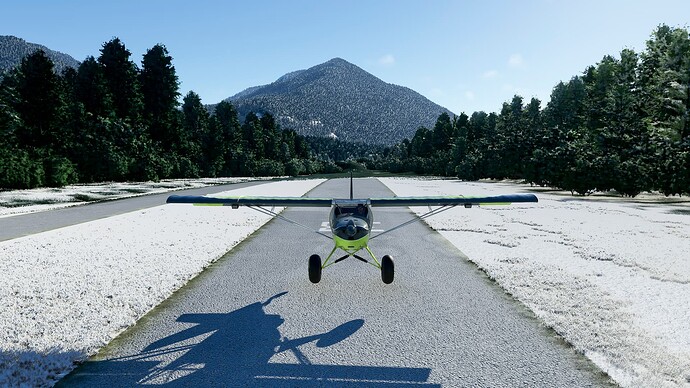 Microsoft Flight Simulator-2023_11_21-20_50_59