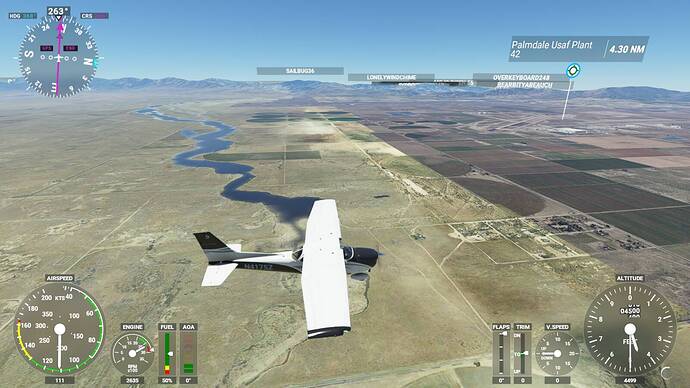 Microsoft Flight Simulator 6_4_2021 11_45_50 AM