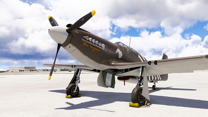 Microsoft Flight Simulator 2024-2025_07_09-18-11-00