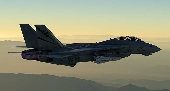 Grumman F-14 Tomcat
