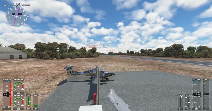 Microsoft Flight Simulator Screenshot 2022.03.24 - 21.15.01.60