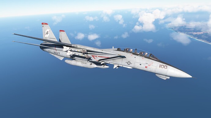 Microsoft Flight Simulator 12_7_2023 6_41_12 PM