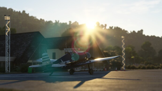 Microsoft Flight Simulator (505)