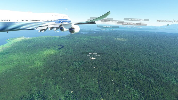 Microsoft Flight Simulator 07_07_2023 20_58_36