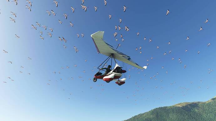 Microsoft Flight Simulator Screenshot 2021.08.22 - 11.26.24.72