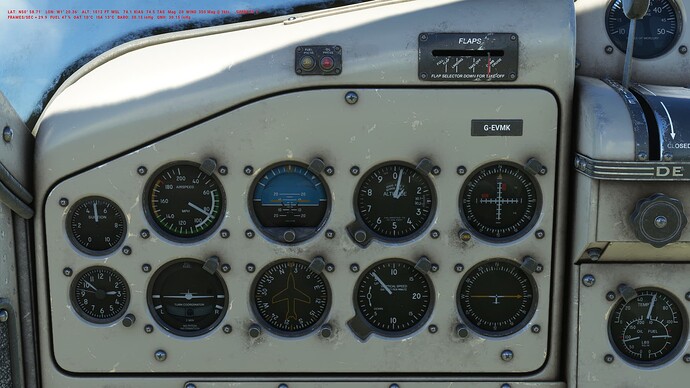 Beaver_01